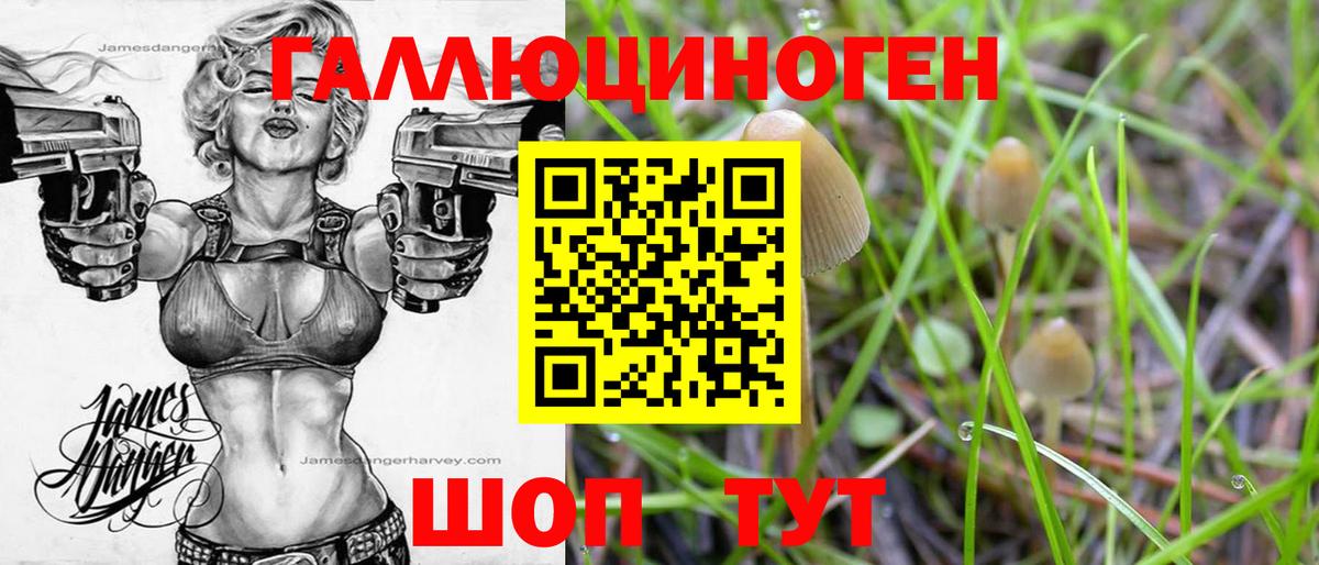 Каменск-Шахтинский  Псилоцибиновые грибы прущие грибы  Псилоцибиновые грибы GOLDEN TEACHER  Вход с VPN 
